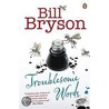 Troublesome Words door Bill Bryson