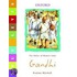True Lives:gandhi