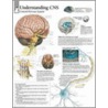 Understanding Cns door Authors Various
