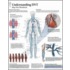 Understanding Dvt