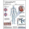 Understanding Dvt by Authors Various
