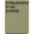 Milieubeleid in de praktijk