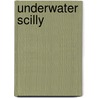Underwater Scilly by Tim Allsop