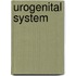 Urogenital System
