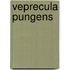 Veprecula Pungens