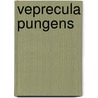 Veprecula Pungens by Miriam T. Timpledon
