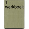1 werkboek door G. Snijders