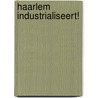 Haarlem industrialiseert! by B. Speet