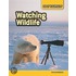 Watching Wildlife
