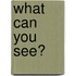 What Can You See?