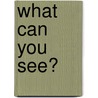 What Can You See? by Marianna Brandt