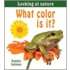 What Color Is It?