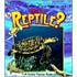 What Is A Reptile