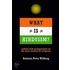 What Is Hinduism?