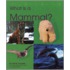 What Is a Mammal?