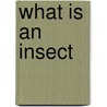 What Is an Insect door Lola Schaefer