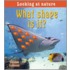 What Shape Is It?