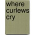 Where Curlews Cry