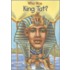 Who Was King Tut?