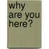 Why Are You Here?