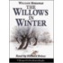 Willows In Winter