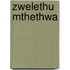 Zwelethu Mthethwa