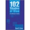 102 Shades Of Blue door Samuel R. Himes