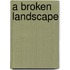 A Broken Landscape