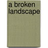 A Broken Landscape door Gideon Mendel