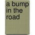 A Bump In The Road