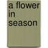 A Flower In Season