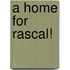 A Home For Rascal!