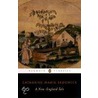 A New-England Tale door Catharine Maria Sedgwick