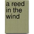 A Reed In The Wind