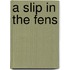 A Slip In The Fens