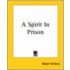 A Spirit In Prison