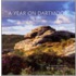 A Year On Dartmoor