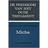 Micha door A.S. van der Woude