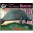 All about Manatees