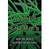 Allies And Enemies by Anne Maczulak