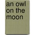 An Owl On The Moon