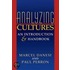 Analyzing Cultures