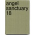 Angel Sanctuary 18