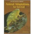 Animal Adaptations