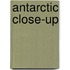 Antarctic Close-up