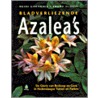 Bladverliezende azalea's door H. Goethals