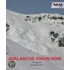 Avalanche know-how