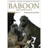 Baboon Metaphysics