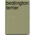Bedlington Terrier