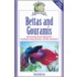 Bettas And Gourmis